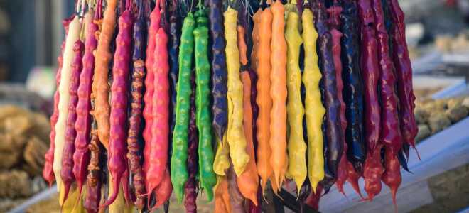 Еда в Сочи: что попробовать и сколько стоит