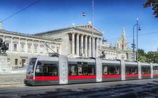 Вена в мае: путешествие в цветущую сказку