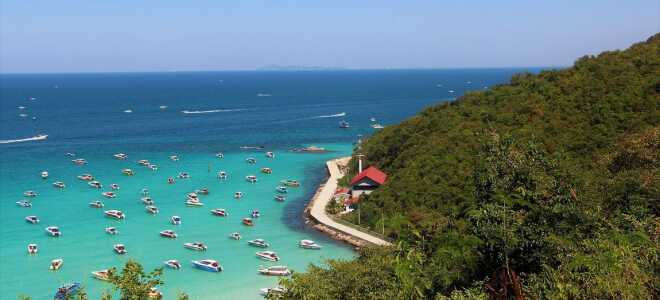 Паттайя в августе: тропические ливни и отдых у моря