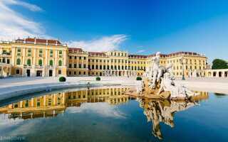 Вена в апреле: торжество весны в старинном городе