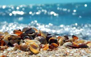 Отдых с детьми в июле 2022: пора в отпуск