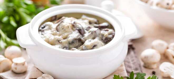 Питание в Буковеле: обзор цен на еду и продукты