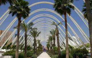 Валенсия в мае: за неделю дарит впечатления на всю жизнь