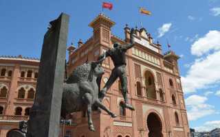 Мадрид в феврале: последние аккорды зимней серенады