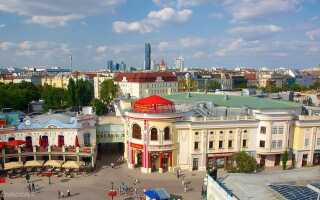 Вена в марте ― волшебная мелодия весны