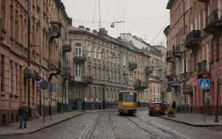 Львов в октябре: желтые листья и аромат кофе