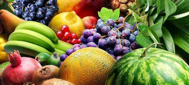 Фрукты Испании