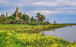 Ларнака в августе: теплое море и душевные фестивали