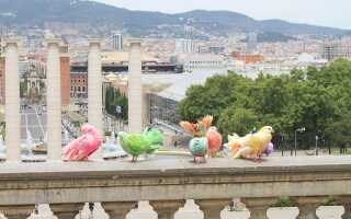 Барселона в марте: весеннее свидание с Каталонией