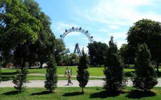 Вена в августе: теплый прием в объятиях лета