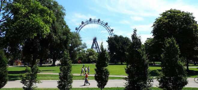 Вена в августе: теплый прием в объятиях лета