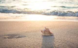 Отдых с детьми в августе 2022: дни, наполненные летом