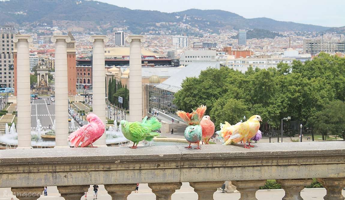 барселона в марте: весеннее свидание с каталонией