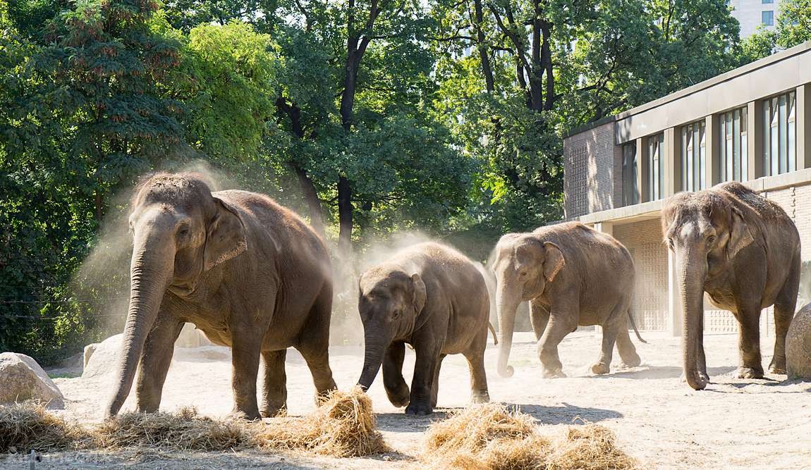берлин в апреле: торжество весны фото 3