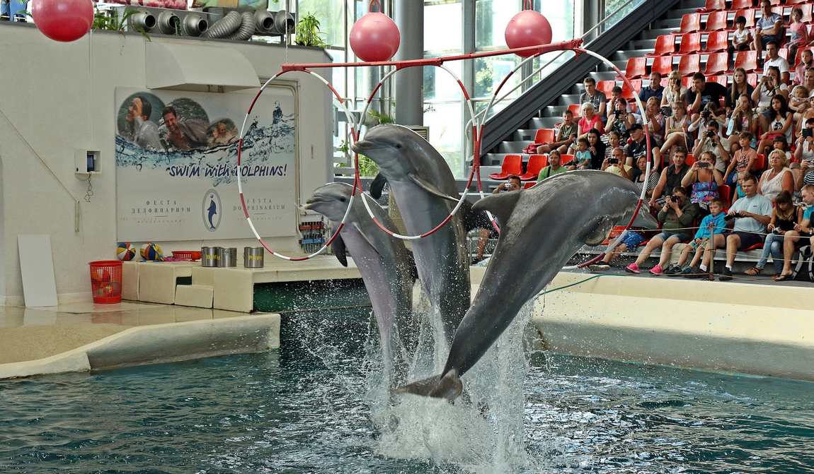 болгария в мае: хороший повод не торопить лето фото 8