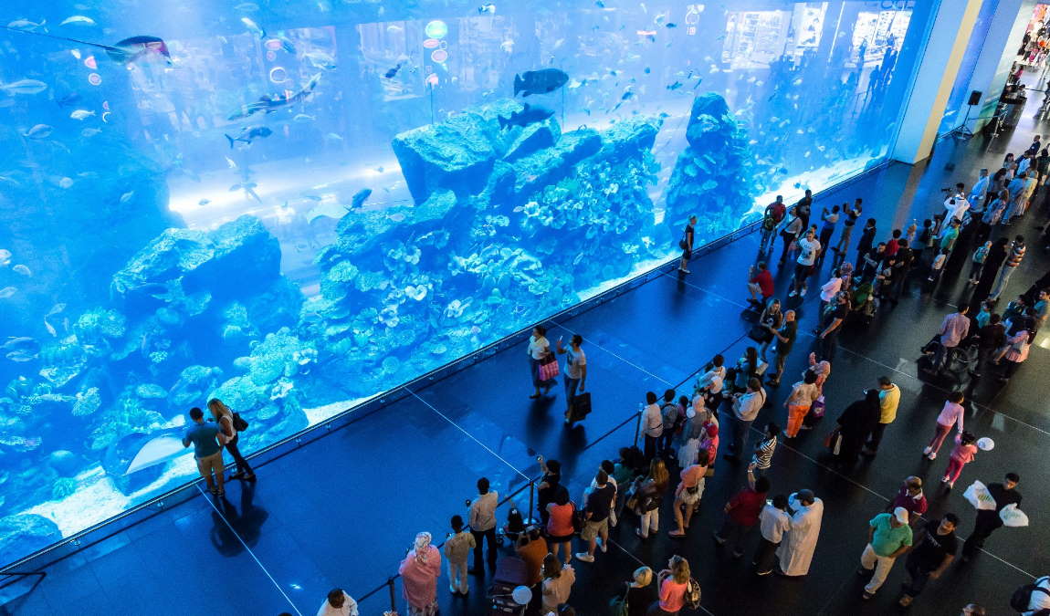 Экскурсионный отдых в Дубае: Дубайский аквариум