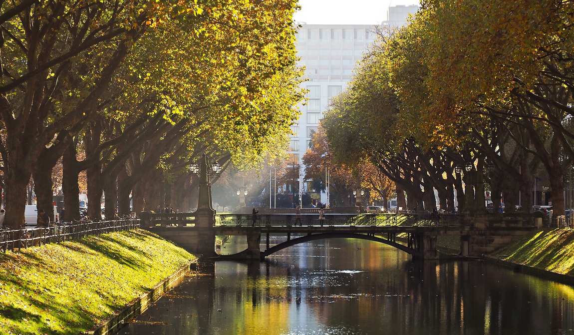 дюссельдорф в ноябре: осень в разгаре фото 1