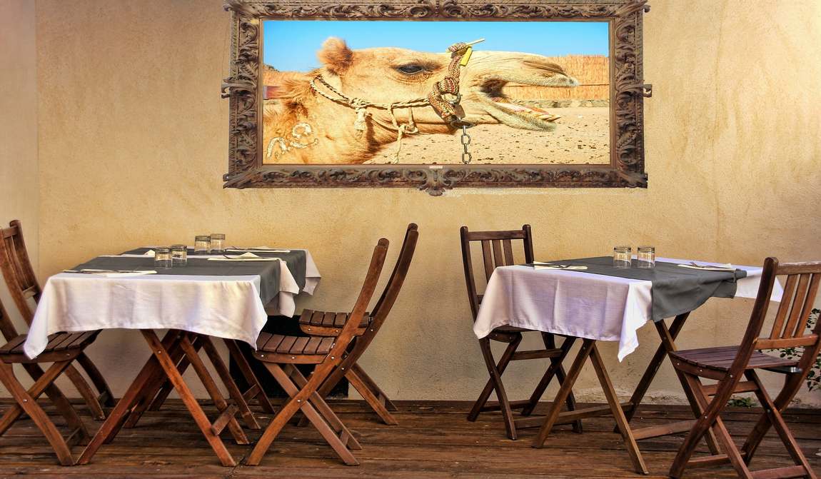 египет в апреле: на пороге высокого сезона фото 9