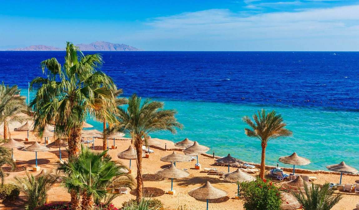 египет в ноябре: осенние каникулы на море фото 6