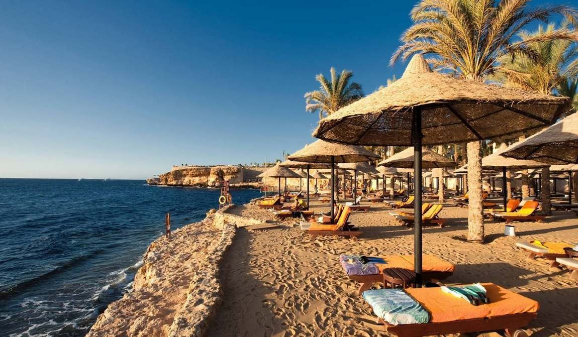 египет в октябре: вслед за перелетными птицами на юг фото 3