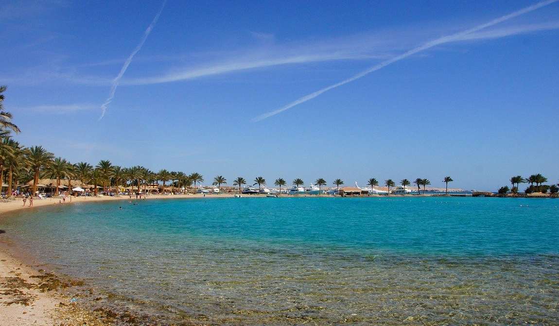 египет в октябре: вслед за перелетными птицами на юг фото 2