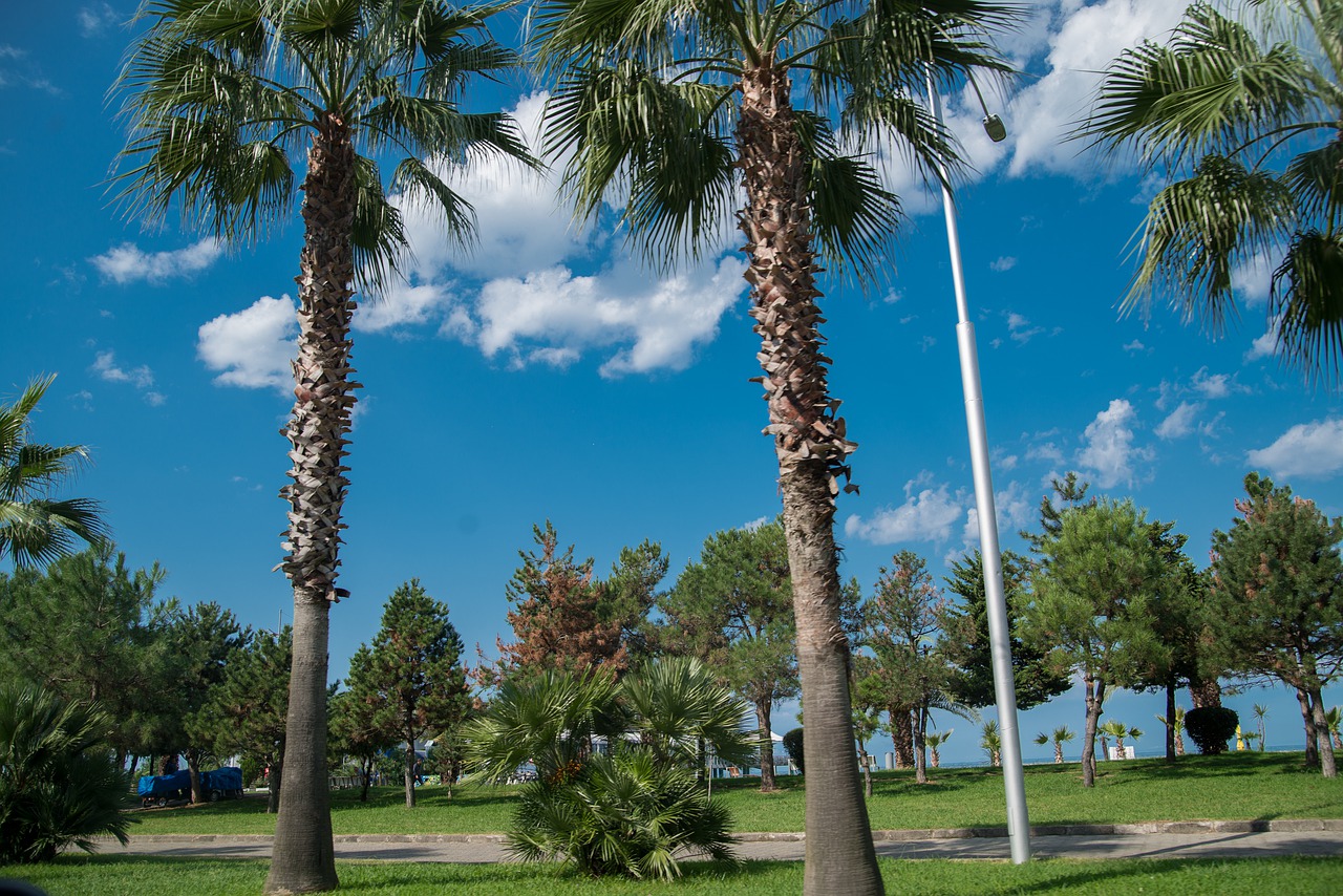 Цены в Грузии в июле