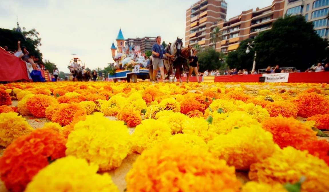 испания в июле: как полюбить сиесту фото 12