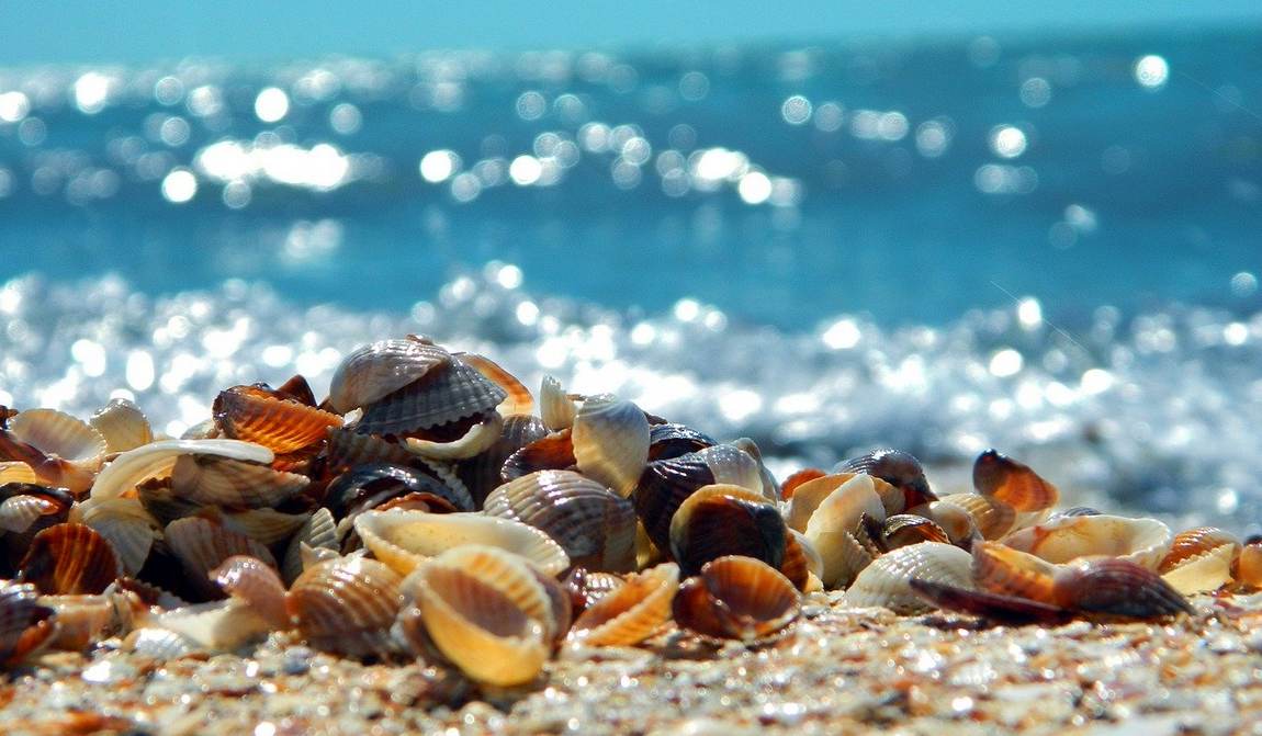 отдых с детьми в июле {kidyear}: пора в отпуск фото 1