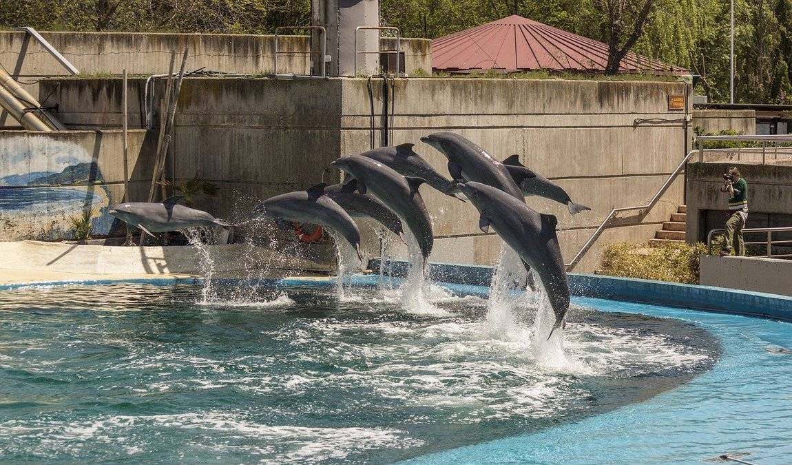 Чем заняться с детьми в Мадриде
