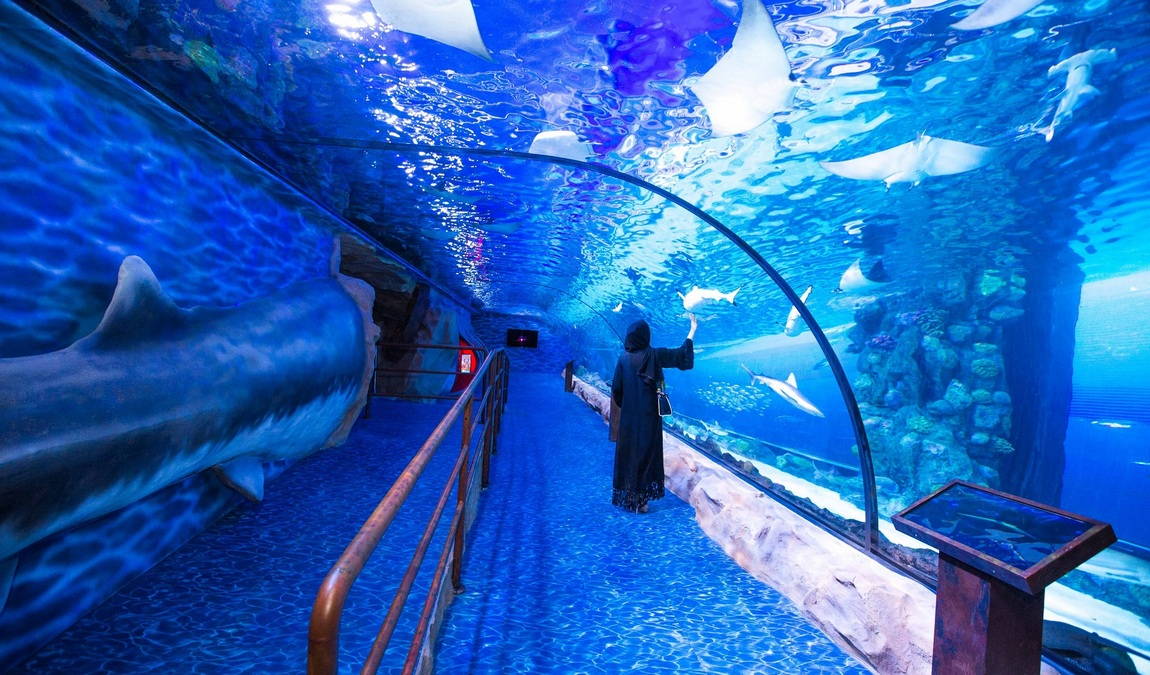 Лучшие развлечения в ОАЭ для семейного отдыха