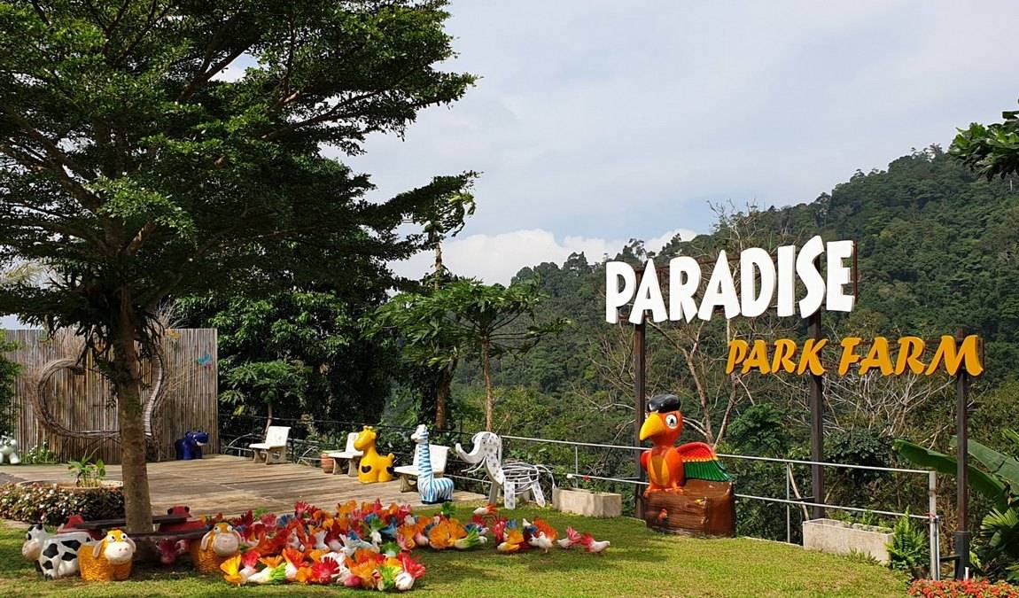 Экскурсионный отдых на Самуи: Парадайз парк