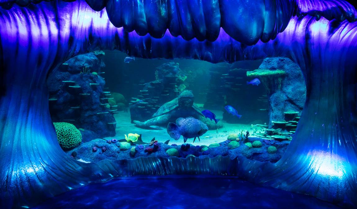 Развлечения для детей в Турции