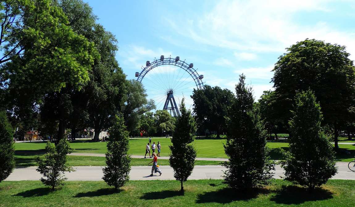 вена в августе: теплый прием в объятиях лета фото 1